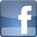 Facebook button rollover icon