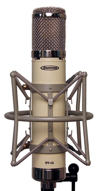 BV-12 mic in delux shockmount